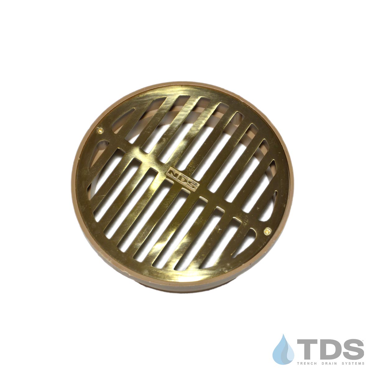 DAANページ　WSBO-16/N 2076_1200x3483.jpg?v=1614801575