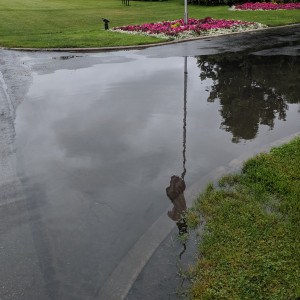 Flooded Driveway